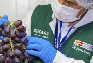 Senasa reitera prohibición de 41 ingredientes en plaguicidas