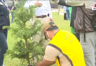 Sentenciados por delitos menores limpian la Costa Verde 