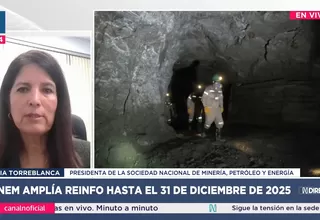 Julia Torreblanca, presidenta del SNMPE, cuestiona nueva prórroga del REINFO