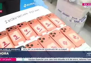 SUNAT incauta mercancía por más de 200 mil dólares en dos meses