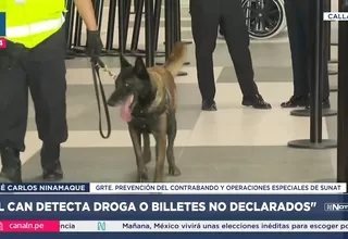 SUNAT refuerza control en nuevo Jorge Chávez con canes detectores