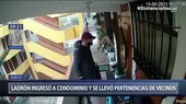 Surco: Ladrón ingresó a condominio y se llevó pertenencias de vecinos - Noticias de robo
