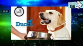 Sushi para perros: comida de alta calidad - Noticias de responsabilidad-empresarial
