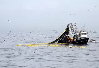 Suspenden temporalmente pesca de anchoveta en zona del litoral