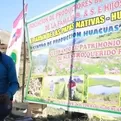 Tacna: promueven turismo agrícola y paisajístico en Tarma