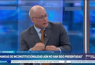 TC confirma que Ejecutivo aún no demanda leyes con impacto fiscal