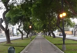 Jesús María: creen que ampliación de av. Salaverry afectará árboles y ciclovía