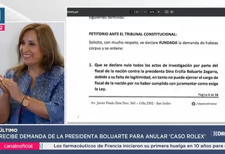 Tribunal Constitucional recibe demanda de la presidenta Boluarte para anular ‘Caso Rolex’