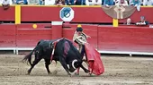 Tribunal Constitucional transmitirá en vivo debate sobre demanda contra corridas de toros - Noticias de corrida-toros