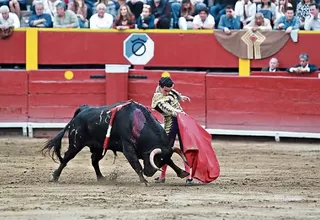 Tribunal Constitucional transmitirá en vivo debate sobre demanda contra corridas de toros