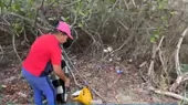 Tumbes: recicladores limpian los manglares  - Noticias de tumbes