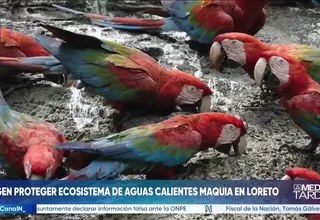 Ucayali-Contamana exige oficializar una área de conservación