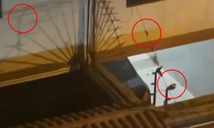 Vecinos de Pueblo Libre preocupados por invasión de roedores en sus ...