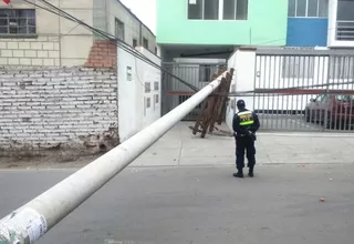 VES: parte del distrito quedó sin luz por caída de postes