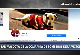 Roban mascota de compañía de Bomberos de La Victoria