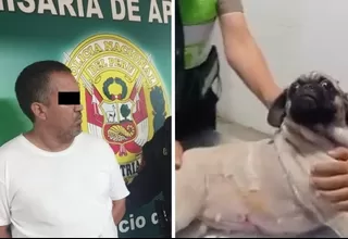 Fiscalía abrió investigación preliminar a hombre que acuchilló a perrita en La Victoria