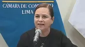 [VIDEO] Empresarios se pronuncian tras llegada de la OEA  - Noticias de micro-empresarios