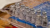 [VIDEO] Pedro Castillo: Se creará una planta de producción de vacunas  - Noticias de vacunas