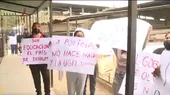 [VIDEO] VMT: Padres de familia denuncian robo en colegio  - Noticias de martiza-villa