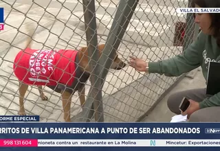 Villa Panamericana: denuncian intento de desalojo de 37 perros rescatados