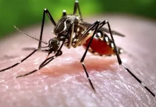 Virus del zika: ¿qué es y cómo se propaga?