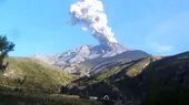 Minagri distribuyó pacas de heno entre productores afectados por el volcán Ubinas - Noticias de volcan-ubinas
