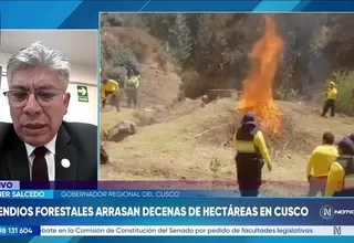 Werner Salcedo: Cusco registra tres incendios activos en Pucyura, Layo y Maranganí
