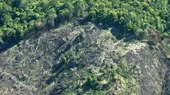 Cerca del 20% de la Amazonía desapareció en 50 años, según WWF - Noticias de amazonia