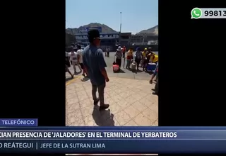 Yerbateros: denuncian la presencia de 'jaladores' en exteriores de terminal