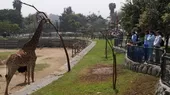 “Hay personas que creen que el zoológico de Huachipa es un circo” - Noticias de zoológico