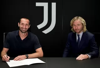 Giorgio Chiellini renovó por dos temporadas con la Juventus