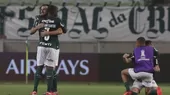 Palmeiras finalista de la Libertadores pese a caer 2-0 con River Plate - Noticias de palmeiras