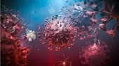 COVID-19: Expertos alemanes investigan una posible nueva variante del coronavirus en Baviera - Noticias de aleman
