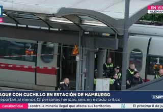 Ataque con cuchillo en estación de Hamburgo deja 12 heridos