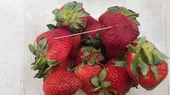 Australia: investigan casos de agujas escondidas en fresas - Noticias de escondidas