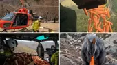 Australia lanzó desde helicópteros comida a animales afectados por incendios - Noticias de australia
