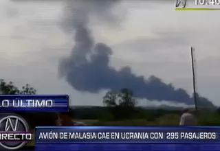 Ucrania: avión de Malaysia Airlines se estrelló con 295 personas a bordo