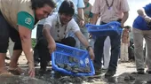 Bolivia: Evo Morales libera 100.000 crías de tortugas en la Amazonía - Noticias de amazonia