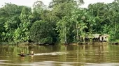 Brasil: asesinan a colaborador de organismo estatal indigenista en la Amazonía - Noticias de amazonia