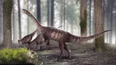 Brasil: descubren al dinosaurio de cuello largo más antiguo del mundo - Noticias de dinosaurio