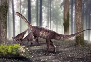 Brasil: descubren al dinosaurio de cuello largo más antiguo del mundo