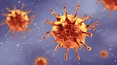 Brasil: Científicos detectan una variante del coronavirus que combina 18 mutaciones  - Noticias de cientificos