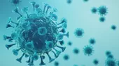 Brasil detecta una nueva variante del coronavirus similar a la identificada en Sudáfrica - Noticias de sudafrica