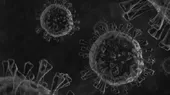 Brasil: Científicos hallan una nueva variante del coronavirus en Sao Paulo - Noticias de sao-paulo
