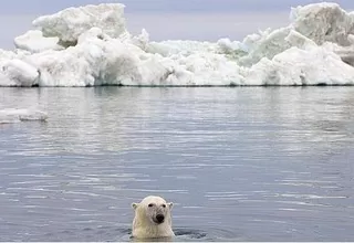 Cambio Climático: compromisos y acuerdos alcanzados en las conferencias