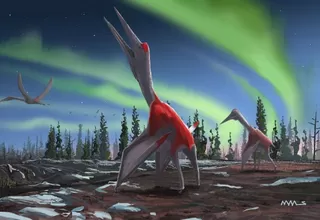 Descubren a uno de los mayores dinosaurios voladores de la prehistoria en Canadá