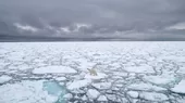 Casquete polar ártico registra su segundo nivel más bajo, según centro de EE. UU. - Noticias de global-selfie