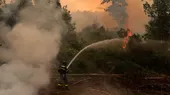 Chile recibe ayuda internacional para controlar incendios forestales - Noticias de agricultura