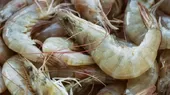 China: Provincia de Shanxi prohíbe camarón blanco de Ecuador tras detectar coronavirus - Noticias de rio-blanco