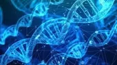 Científicos descifran por primera vez el genoma completo de un ser humano - Noticias de cientificos